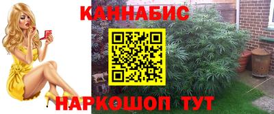 jwh Кинель