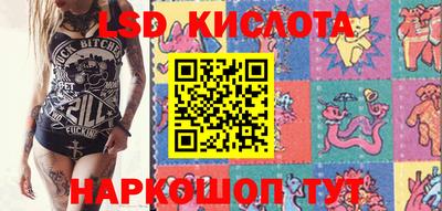 крисы Кандалакша
